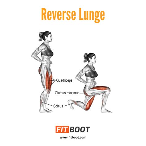 Reverse lunges. Things To Know About Reverse lunges. 