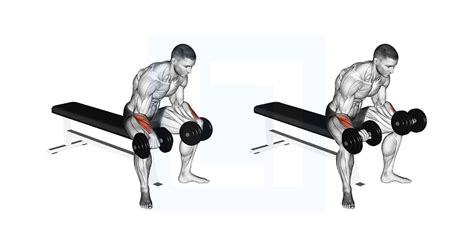 Reverse wrist curl alternative. .  While both exercises work the biceps, they h...
