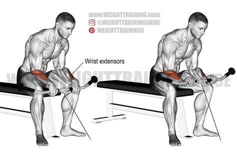 Reverse wrist curl cable. .  ...