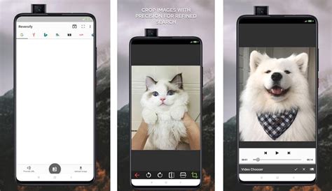 Reversify Lite Reverse Image APK Download for Android APKfun com