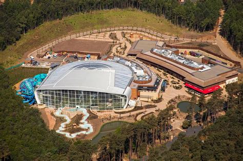 Review: Centre Parcs Longleat Forest – The London Mommy