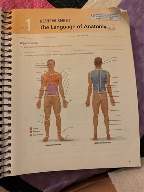 Review Sheet Exercise 1 The Language Of Anatomy Answers
