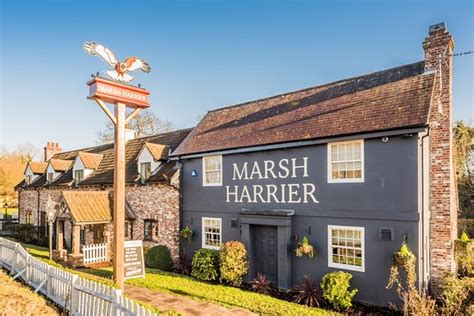 Review of Marsh Harrier, Norwich, England - Tripadvisor