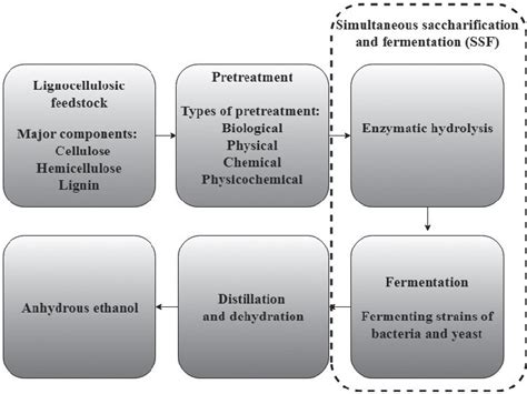 Review of Second Generation Bioethanol Production from Residual Biomass ...