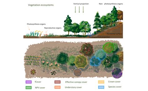 Review of ground and aerial methods for vegetation cover …