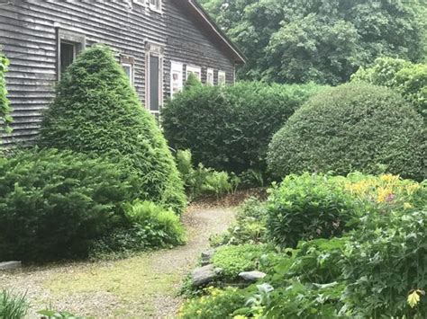 Reviews Horsford Gardens and Nursery (Gardener) in Vermont ...