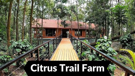 Reviews of Citrus Trail Farm & Kitchen, Bommasandra, Bangalore …