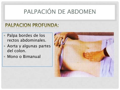 Revisión del abdomen de sidney edelman. - 2015 etec 200 ho service manual.