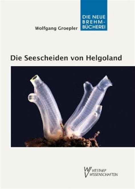 Revision von heller's ascidien aus der adria. - Hydrologic analysis and design solutions manual free download.