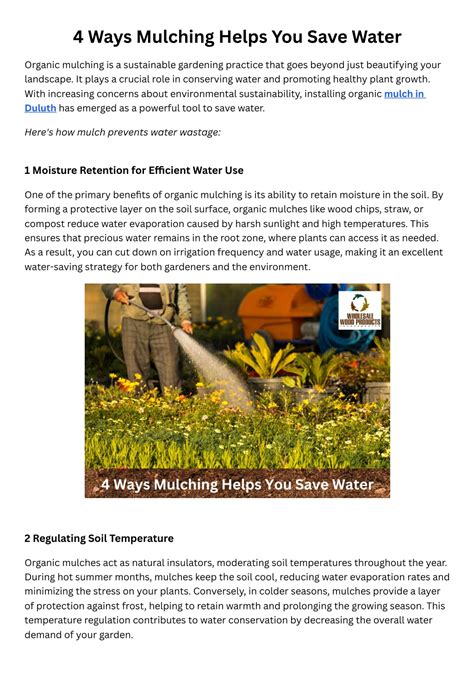 Revolutionary Mulch: Save Water & Boost Soil Health! (2026)