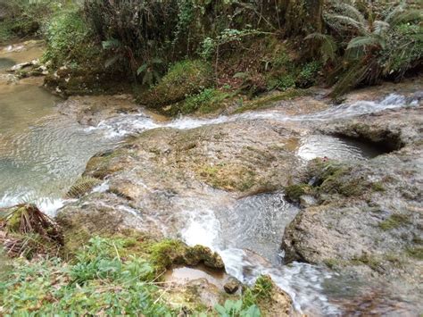 Rewilding Wildswimming Leaked XXX 💦 247 Videos