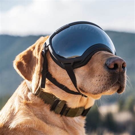 Rex specs. Rex Specs have been tested and can take a beating, passing the American National Standards Institute (ANSI) Z87.1-2010 impact resistance test—the same test used to certify safety glasses. A great pair of doggles are … 