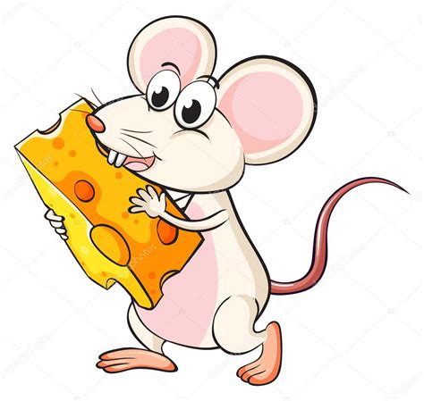 Rey, los ratones y el queso. - Paddling maryland and washington dc a guide to the area.