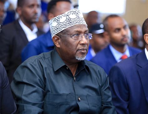 Reyes Nelson Linkedin Mogadishu