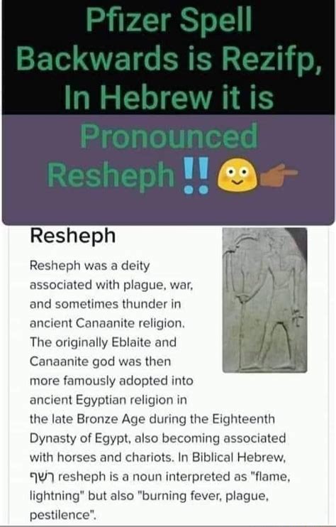 Rezifp hebrew. Pfizer name backwards is Rezifp . God of the PLAGUE and UNDERWORLD wearing a tall pointed GOATS HEAD The name Rezifp is of Hebrew origin and means "(Hebrew: 'the Burner' or 'the Ravager') ancient West Semitic god of … 