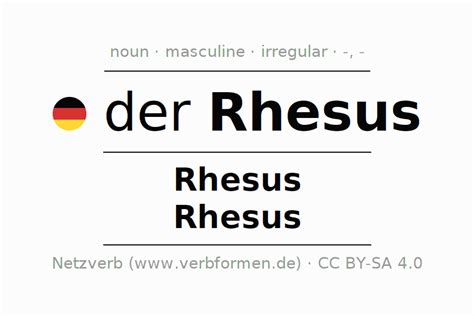 RhMSUS German.pdf