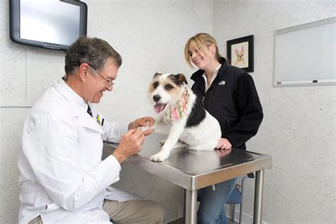 Rhinebeck animal hospital. Things To Know About Rhinebeck animal hospital. 