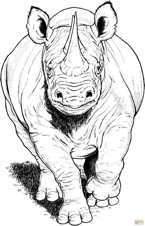 Rhino Free Coloring Pages