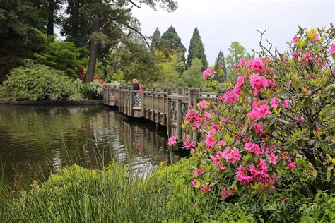 Rhododendron garden portland oregon. The Crystal Springs Rhododendron Gardens are botanical gardens located between Reed College and the Eastmoreland Golf Course in Southeast Portland, Oregon. Established in 1950 the gardens have been an oasis of natural beauty for Portland photographers. The gardens host a select number of weddings each … 