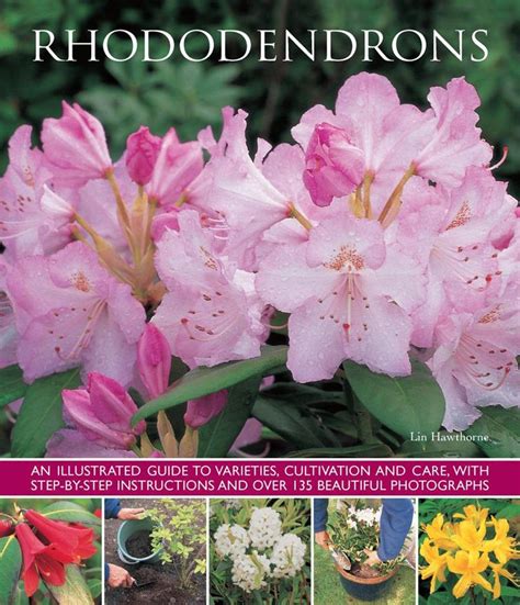 Rhododendrons an illustrated guide to varieties cultivation and care with. - Cat 3412 marine engine maintenance manual.