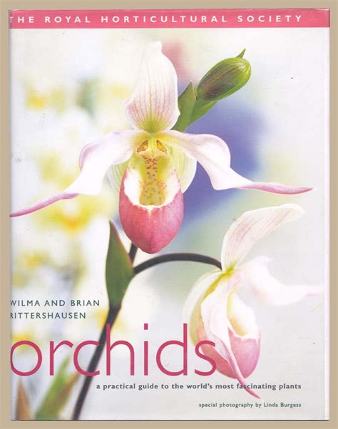 Rhs orchids a practical guide to the worlds most fascinating plants. - Yamaha yfm350fwbk big bear 4x4 owners manual.