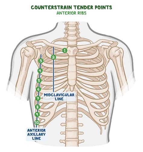 Module 1 is the foundational first step in the Counterstrain Mastery Program. It is a required course for all modules in the Mastery Program. ... This includes spinous processes, para-vertebral levels, rib tubercles and …. 