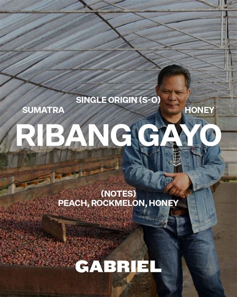 Ribang Gayo &ndash; Coava Coffee Roasters