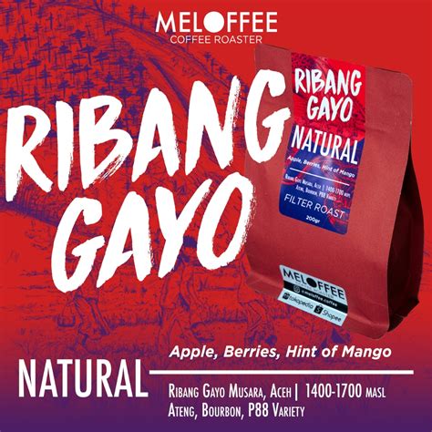 Ribang Gayo Natural