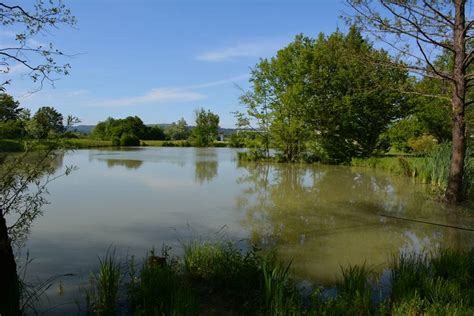 Ribiška družina Grosuplje