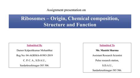 Ribosomes: Chemical Composition and Structure Cytoplasm