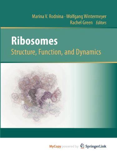 Ribosomes Structure Function And Dynamics