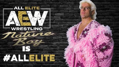 Ric Flair Moveset - Angelfire