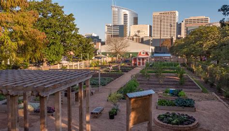 Rice U Holistic Garden Sees Sustainability Upgrades