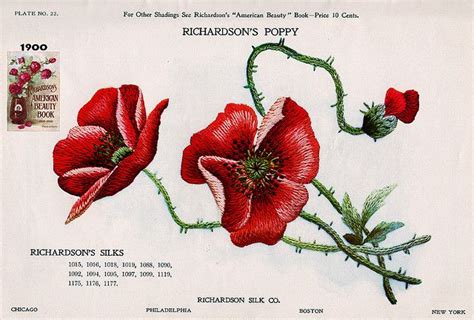 Richardson Poppy  Meizhou