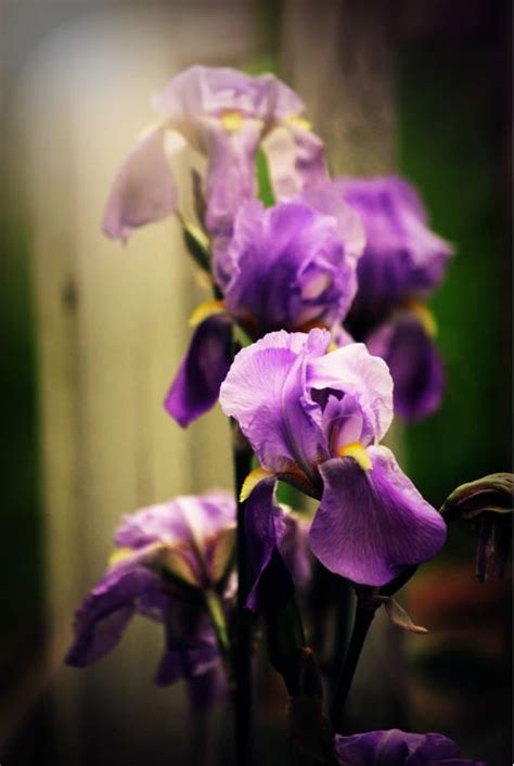 Richland pa obituaries. .  ...