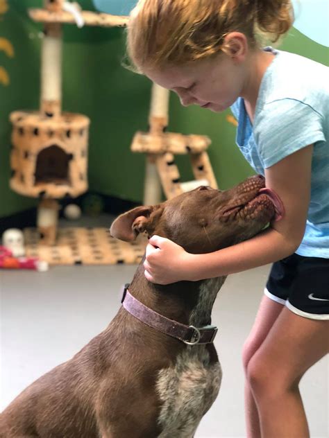 Richmond humane society. All trademarks are owned by Société des Produits Nestlé S.A., or used with permission. Search for dogs for adoption at shelters near New Richmond, WI. Find and adopt a pet on Petfinder today. 