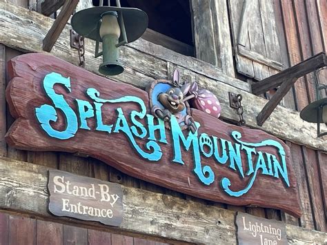 Rider jumps out of Splash Mountain log after apparent panic attack at Disneyland