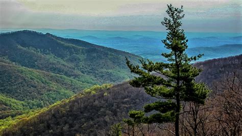 Ridge and valley appalachians. Things To Know About Ridge and valley appalachians. 