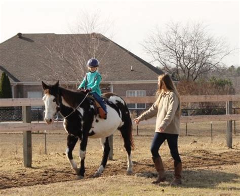 Riding Lessons Horse Boarding Parties Starlite Stables Odenville …