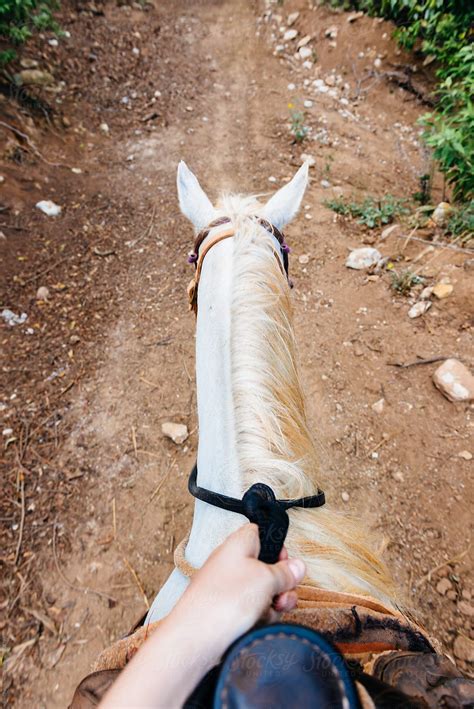 Riding Pov Onlyfans Leak