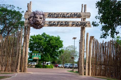 Ridiyagama Safari Park, Ridiyagama Ticket Price