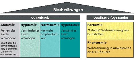 Riechstörungen evidenzbasiert diagnostizieren und