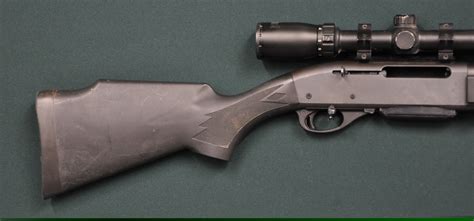 Rifle 270 Remington Price