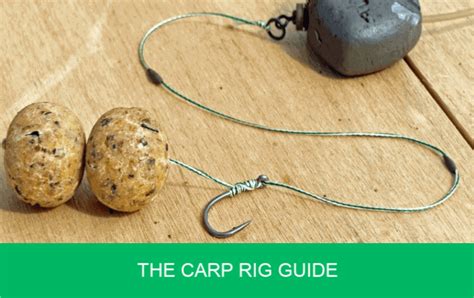 Rig Guide Carp
