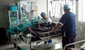 Rige en Perú emergencia sanitaria por el aumento de casos del síndrome de Guillain-Barré