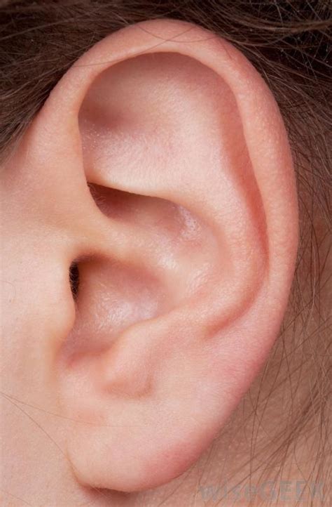Right ear numb. Symptoms of occipital neuralgia include continuous aching, burning and throbbing, with intermittent shocking or shooting pain that generally starts at the base of the head and goes to the scalp on one or both sides of the head. Patients often have pain behind the eye of the affected side of the head. Additionally, a movement as light as ... 