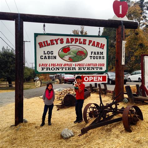 Riley farms. We will be located behind Stone Soup Farm and Willowbrook Farm on the right side of the road. Please note the road sign for Stone Soup Farm below. For GPS Applications: 12201 OAK GLEN ROAD, YUCAIPA, CA 92399-9754. Hours. We are the original Riley's ... 