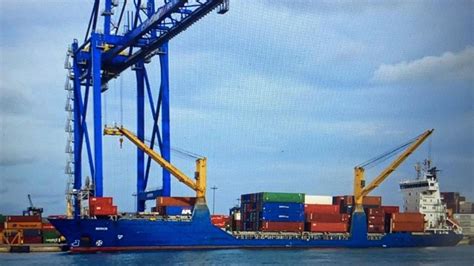 codini.rgarabwor.edu.pl. 