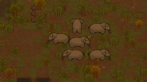 Rimworld animals guide.  Learn how here.  I hope this helps and please fee...