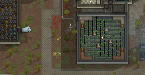 Rimworld planting. Anima tree. A rare tree with warm, skin-smooth bark and long iridescent leaves. Infused with bioluminescent micro-organisms, anima trees develop a unique form of psychic symbiosis with surrounding lifeforms, allowing them to grow in a wide variety of biomes. If a person (psycaster or not) meditates near an anima tree, it will grow anima … 